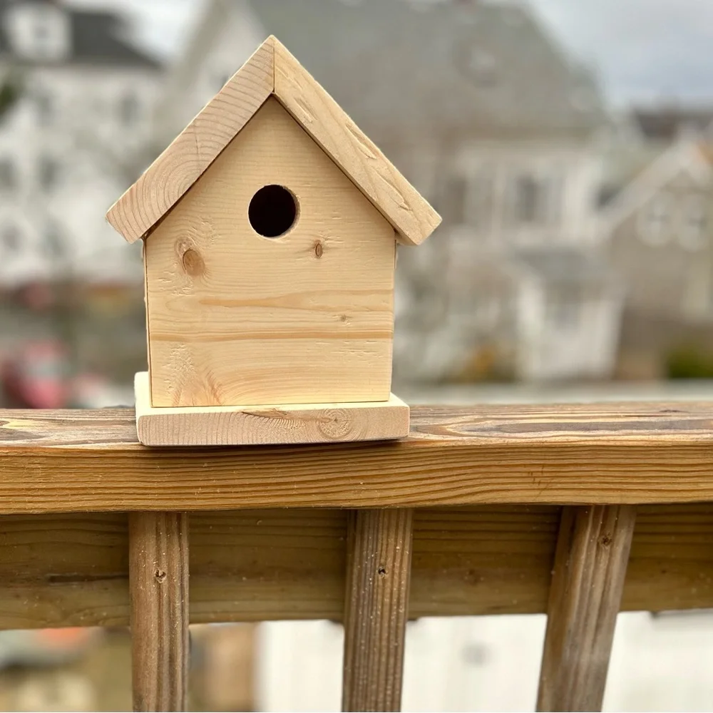Birdhouse - blank for painting or arts and crafts with the kids